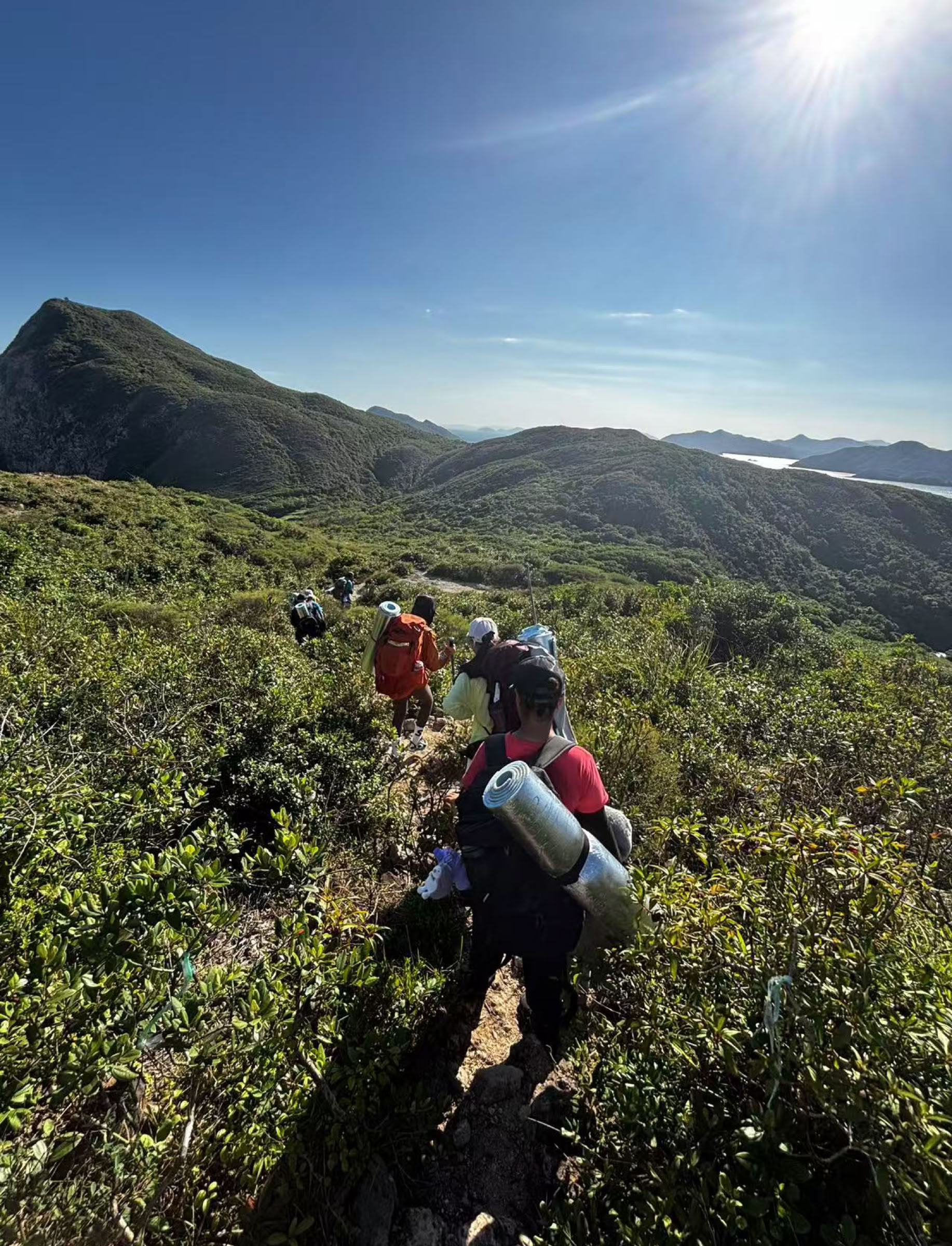 ZIS Students hiking with backpacks walking on a narrow trail through lush green vegetation with mountains in the background under a clear blue sky.
